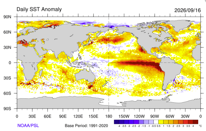 NOAA PSL SST analysis for September 16, 2026.